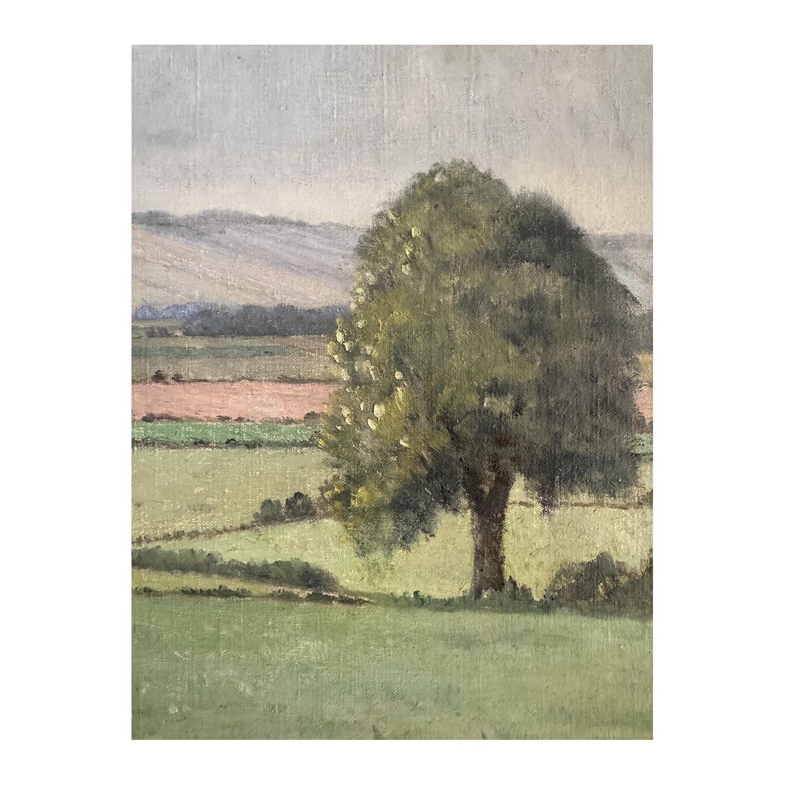 Storrington, West Sussex, 1800s photo vinterior