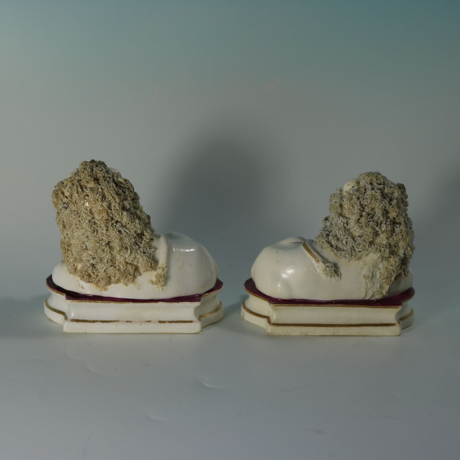 Pair Of Shelton Staffordshire Lion And Lamb Figures photo 3025.0