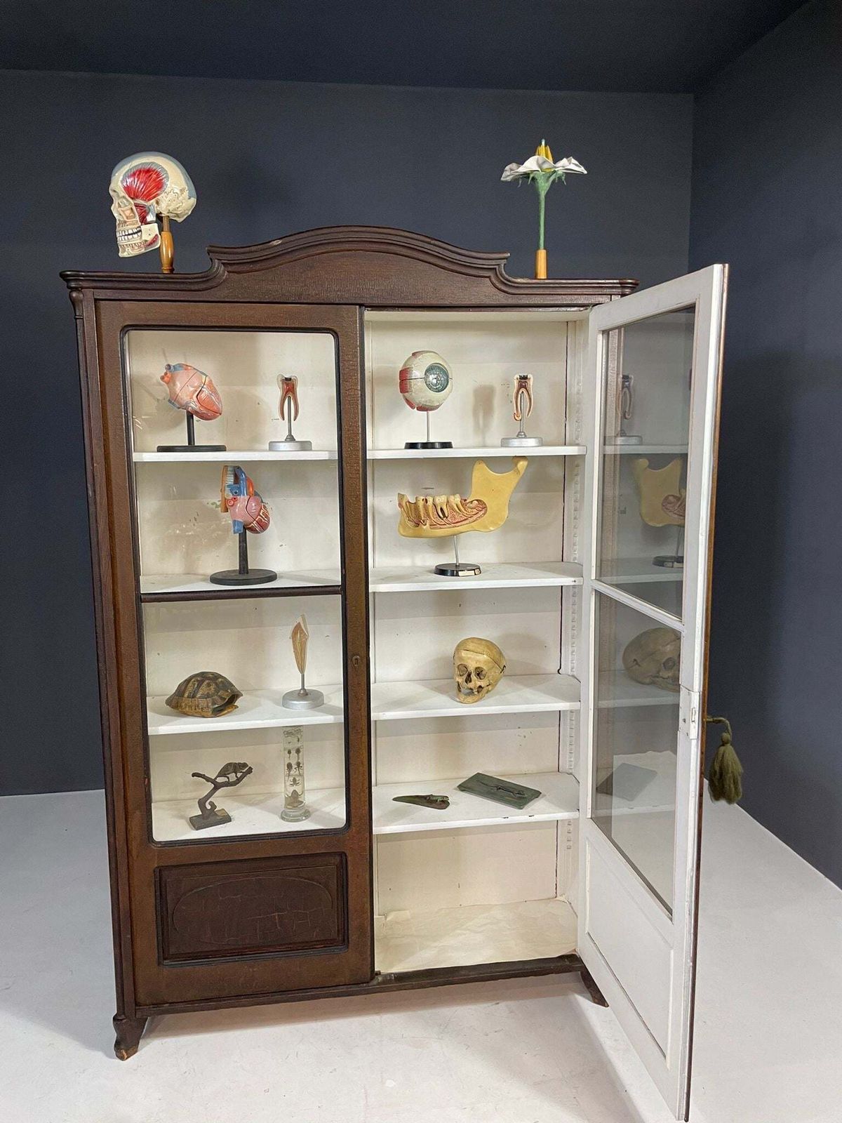 Historic Glass Front Bookcase From Austria Hungary, Late 19th–Early 20th C.