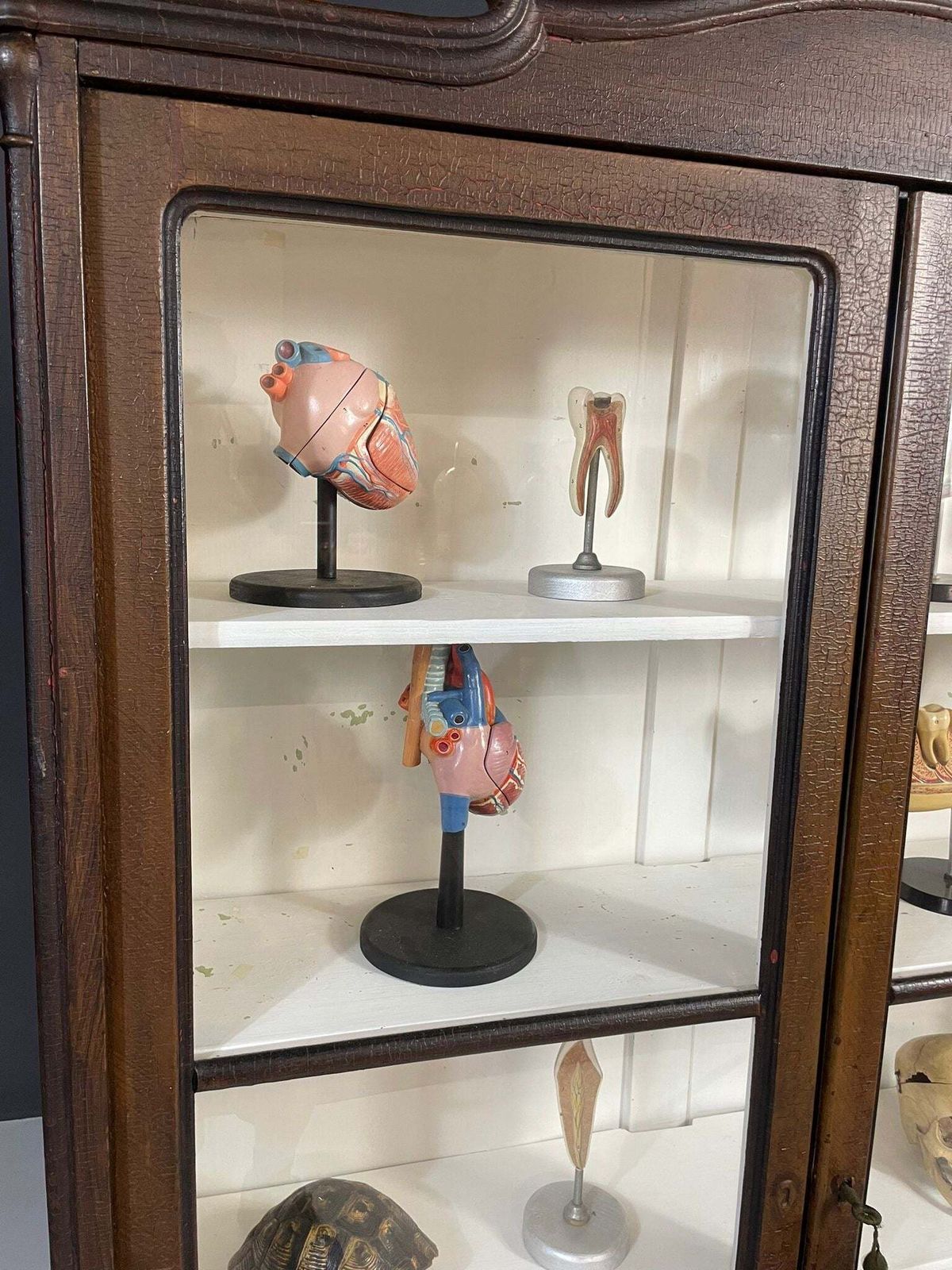 photo furniture Historic Glass Front Bookcase From Austria Hungary, Late 19th–Early 20th C.