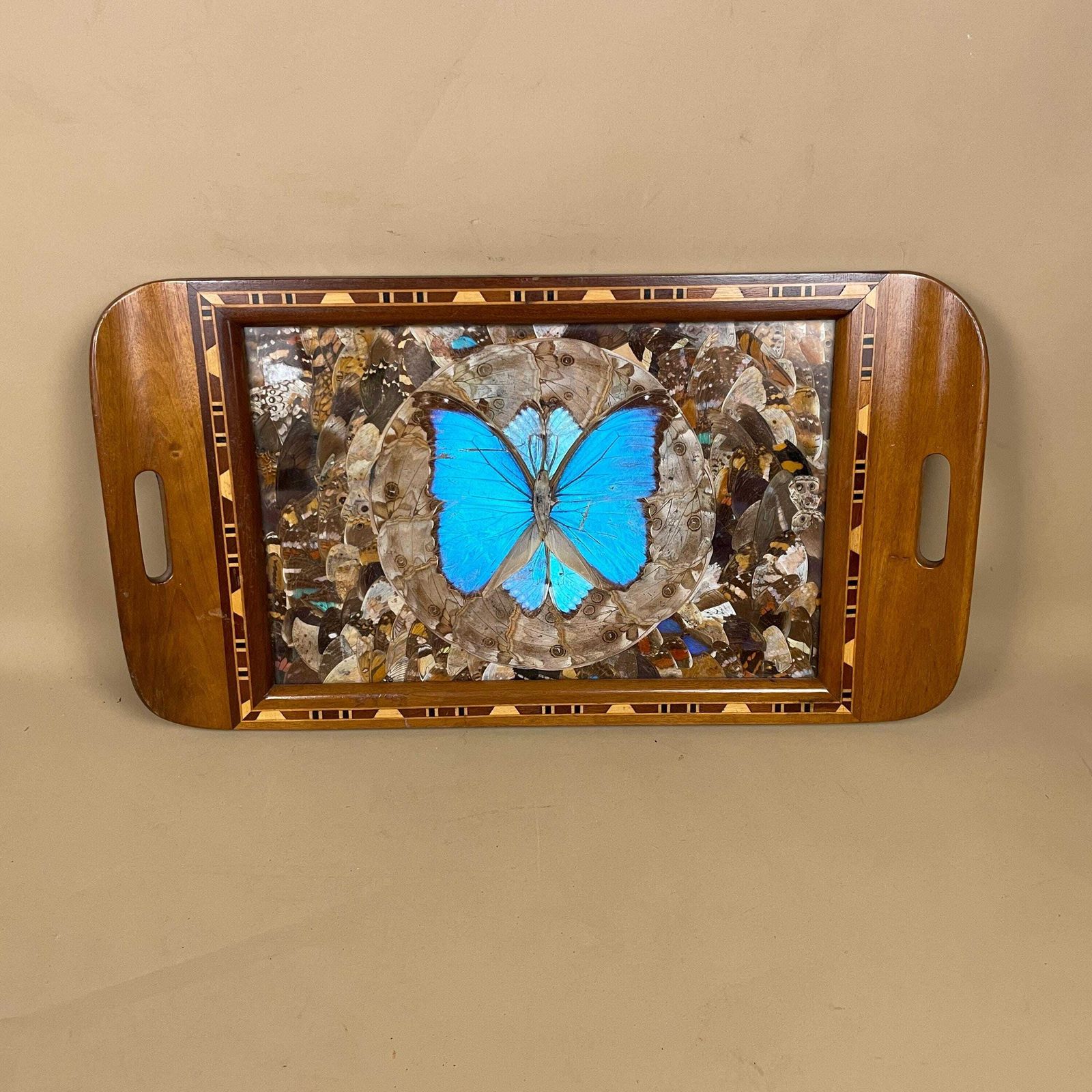 Vintage Wooden Tray Blue Butterfly Wings Rectangle Wood Marquetry Antique Taxidermy Assorted Butterflies Tea Tray Decorative Serving