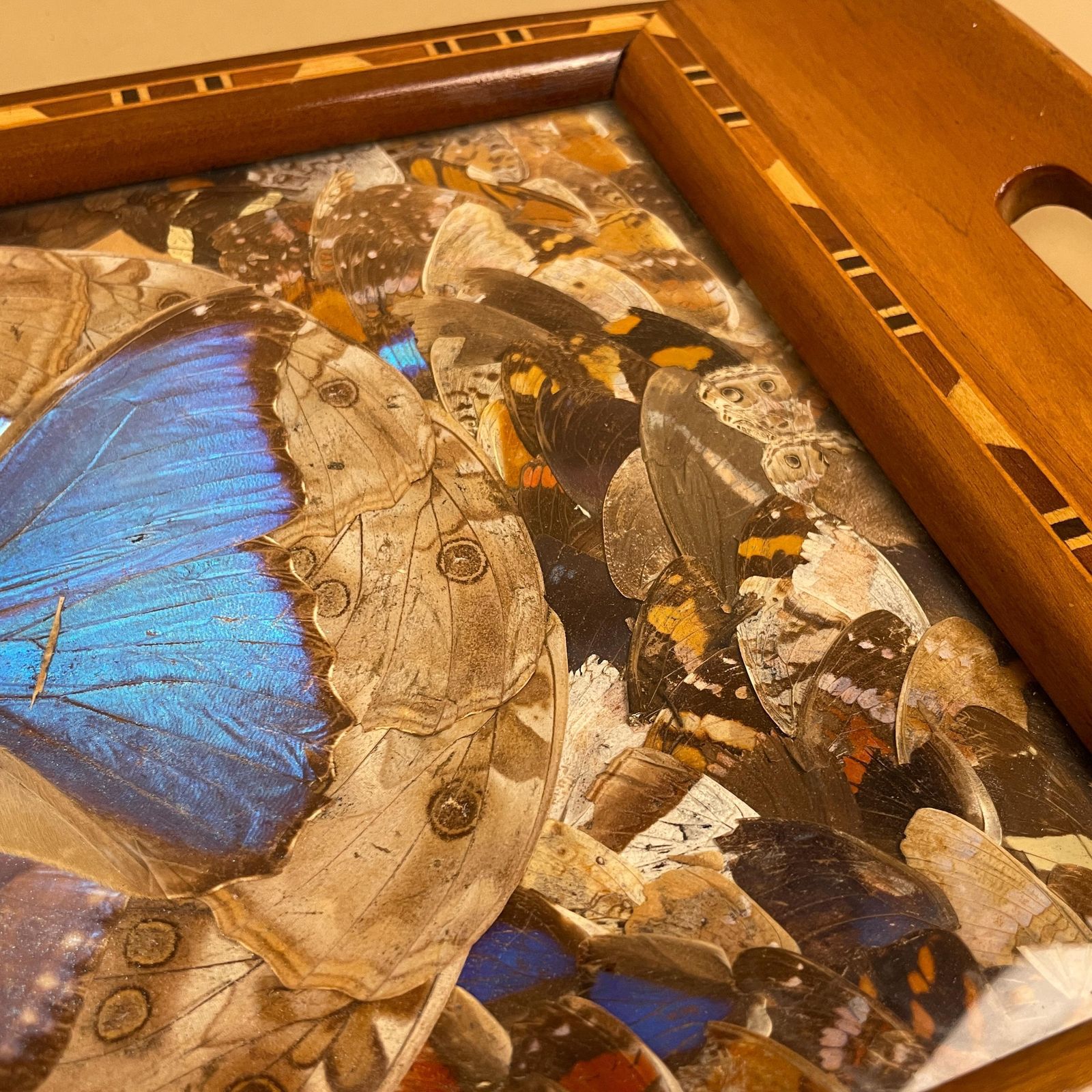photo for sale Vintage Wooden Tray Blue Butterfly Wings Rectangle Wood Marquetry Antique Taxidermy Assorted Butterflies Tea Tray Decorative Serving