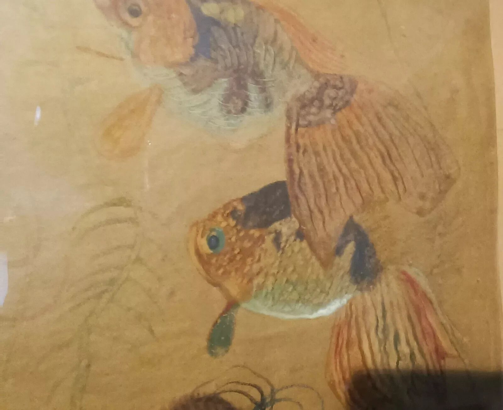 Mixed Media Painting Fish Silvio Polloni (Florence 1888 1972) Wooden Frame photo 190.0