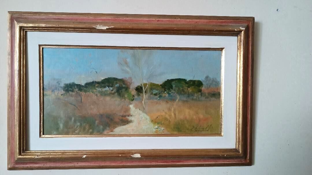 Oil Painting Cardboard Landscape Maremma Bruno Loretti (Livorno 1940) photo furniture