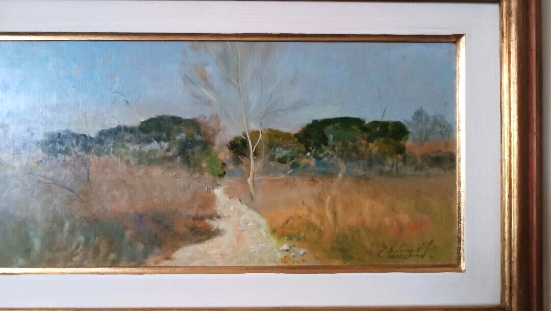 Oil Painting Cardboard Landscape Maremma Bruno Loretti (Livorno 1940) photo Art