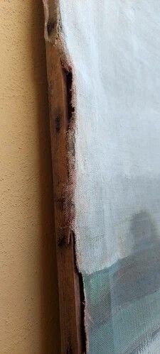 Oil Painting On Canvas View Florence San Frediano Primi 900 photo buy