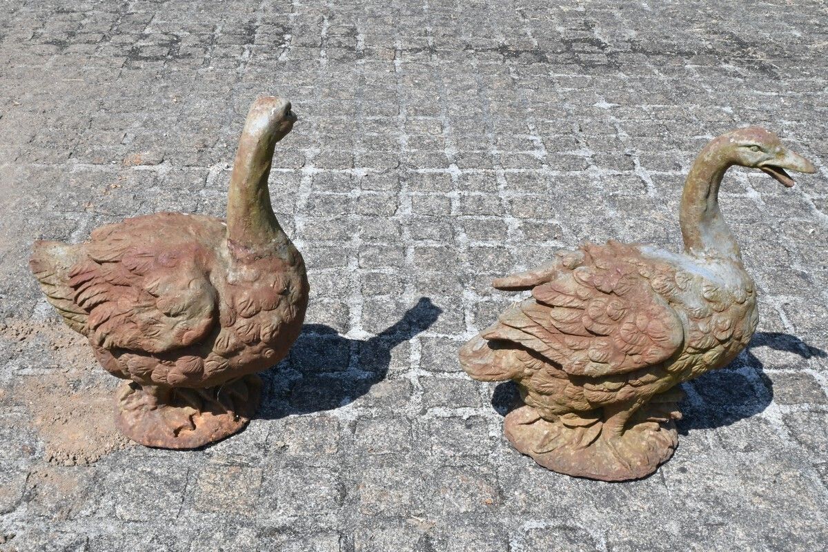 photo vinterior Pair Of Cast Iron Ducks – 20th Century