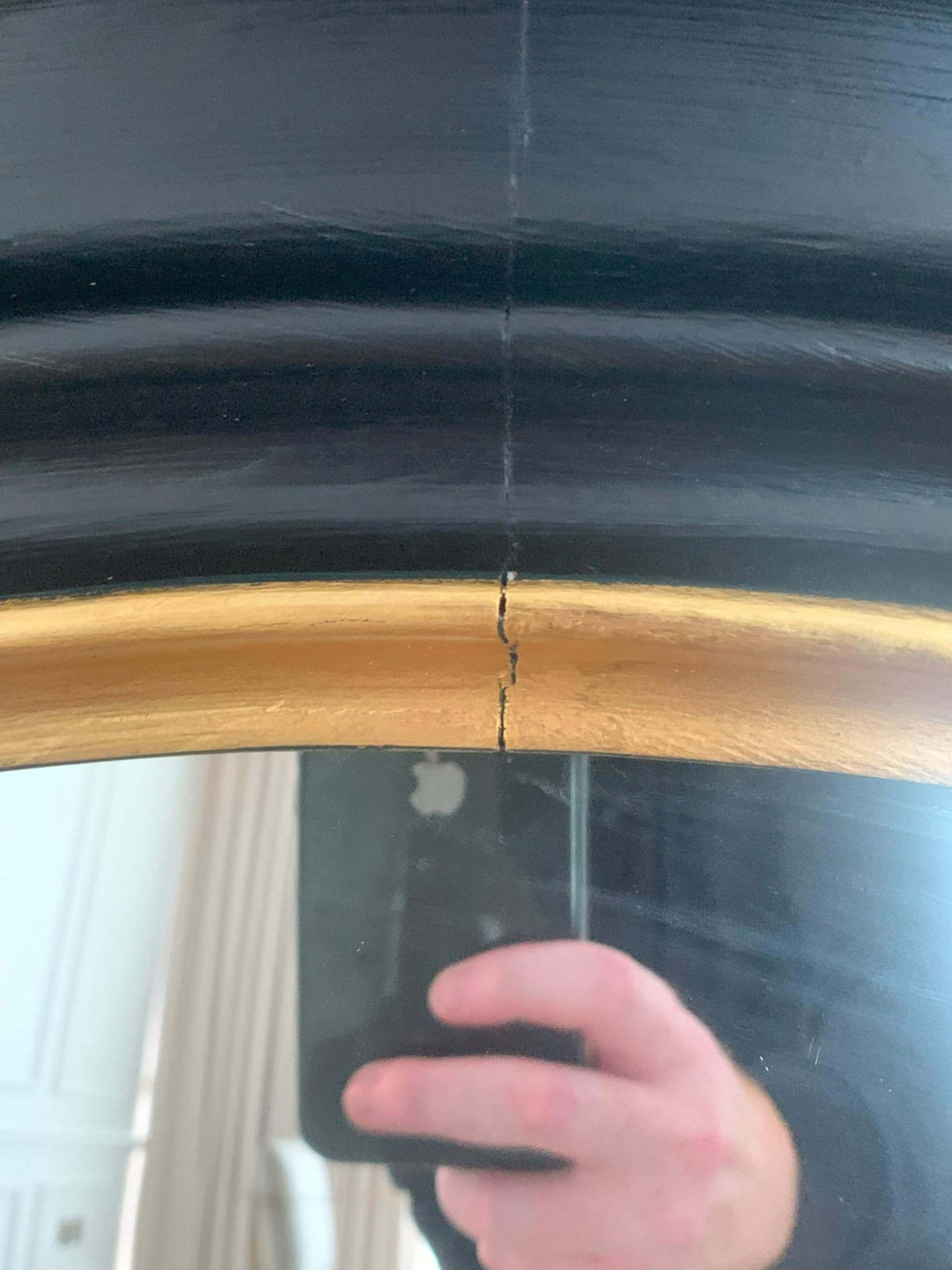 photo furniture Convex Regency Style Mirrors, Black And Gilt, Pair, England, 1890s