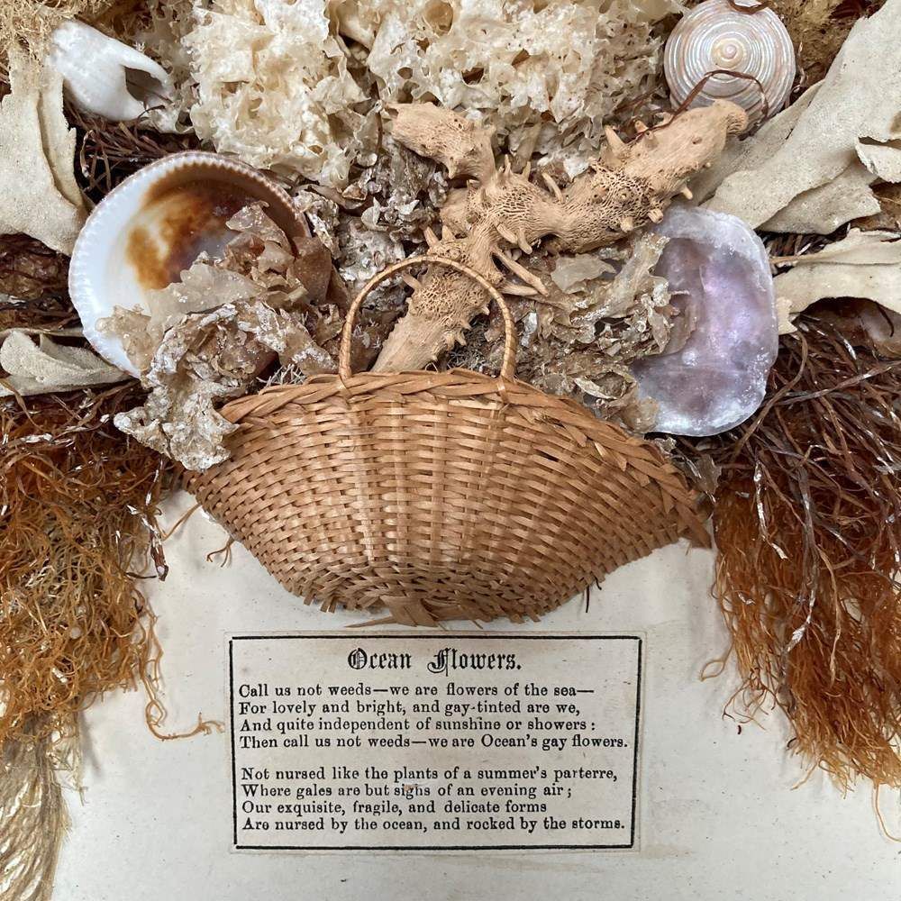 Pair Of Seaweed Dioramas, 1800s photo furniture