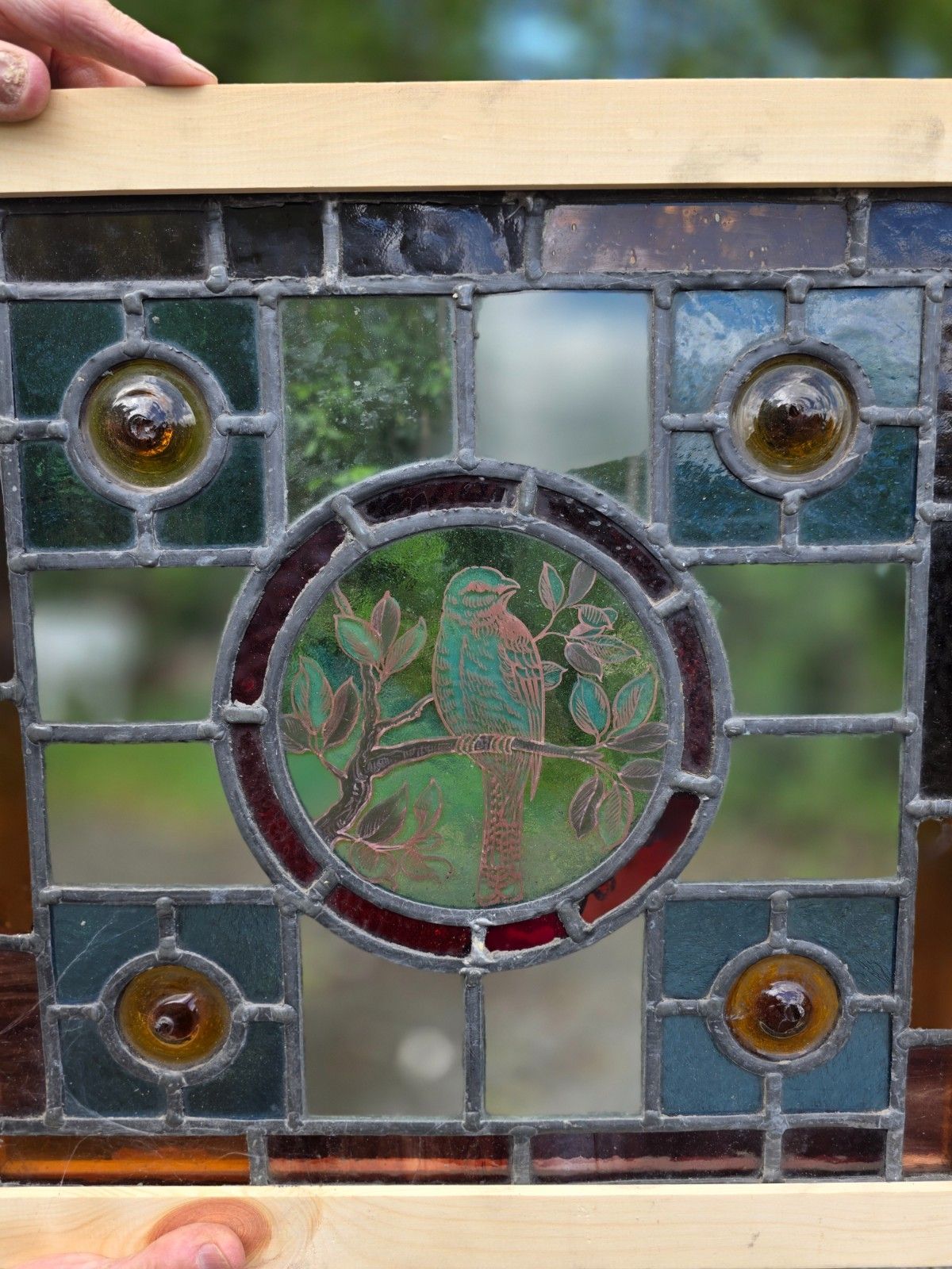 1910 Antique Leaded Glass Window With Bird On A Branch And Amber Bullseyes... photo Home Decor