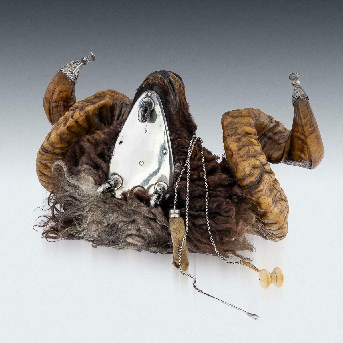 Antique 19th Century Victorian Silver Mounted Ram’s Head Snuff Mull C.1874 photo vinterior