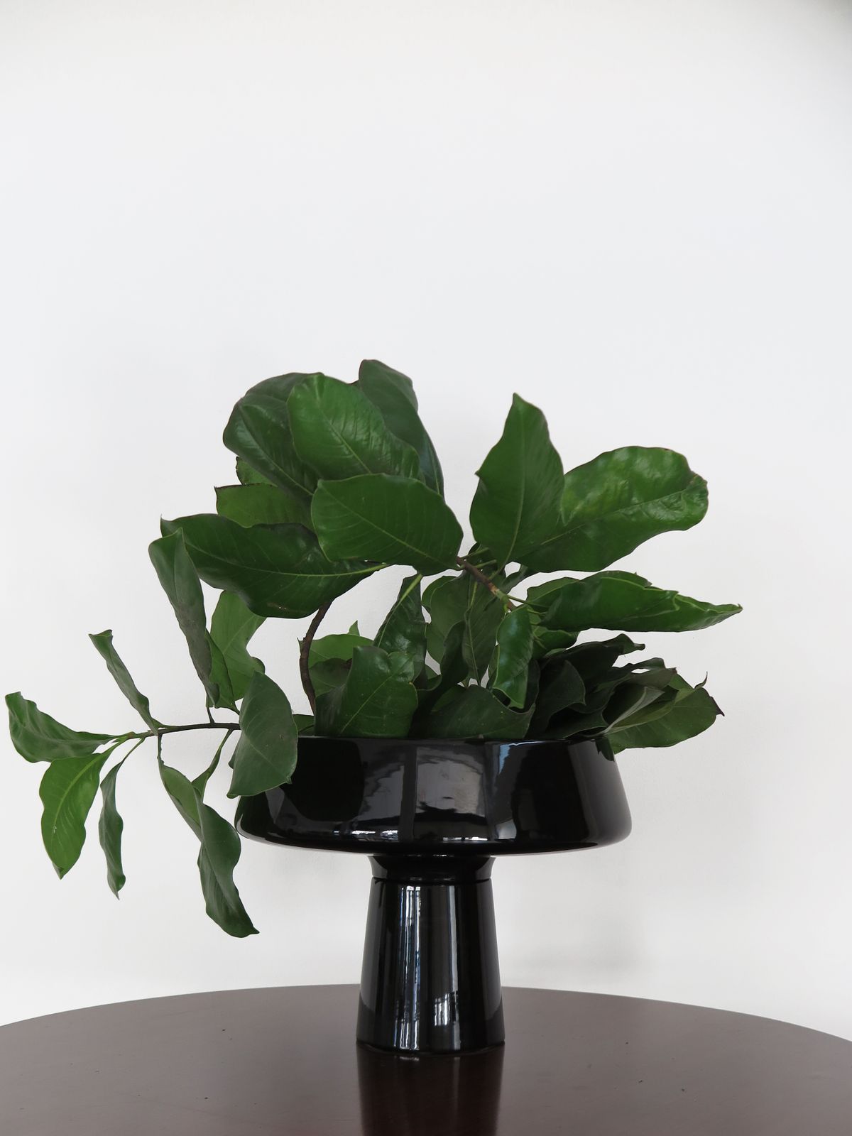 Angelo Mangiarotti For Skipper Black Ceramic Planter, Italy 1980s photo furniture