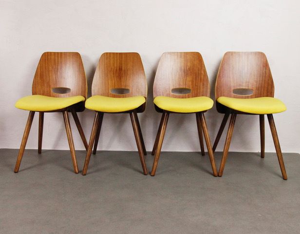 Chairs Tatra Pravenec "Morning Sun" photo 249.0