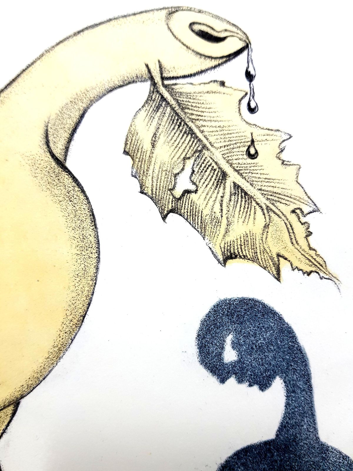 Salvador Dalí­Salvador Dali   Pear And Nude Back1967 photo for sale