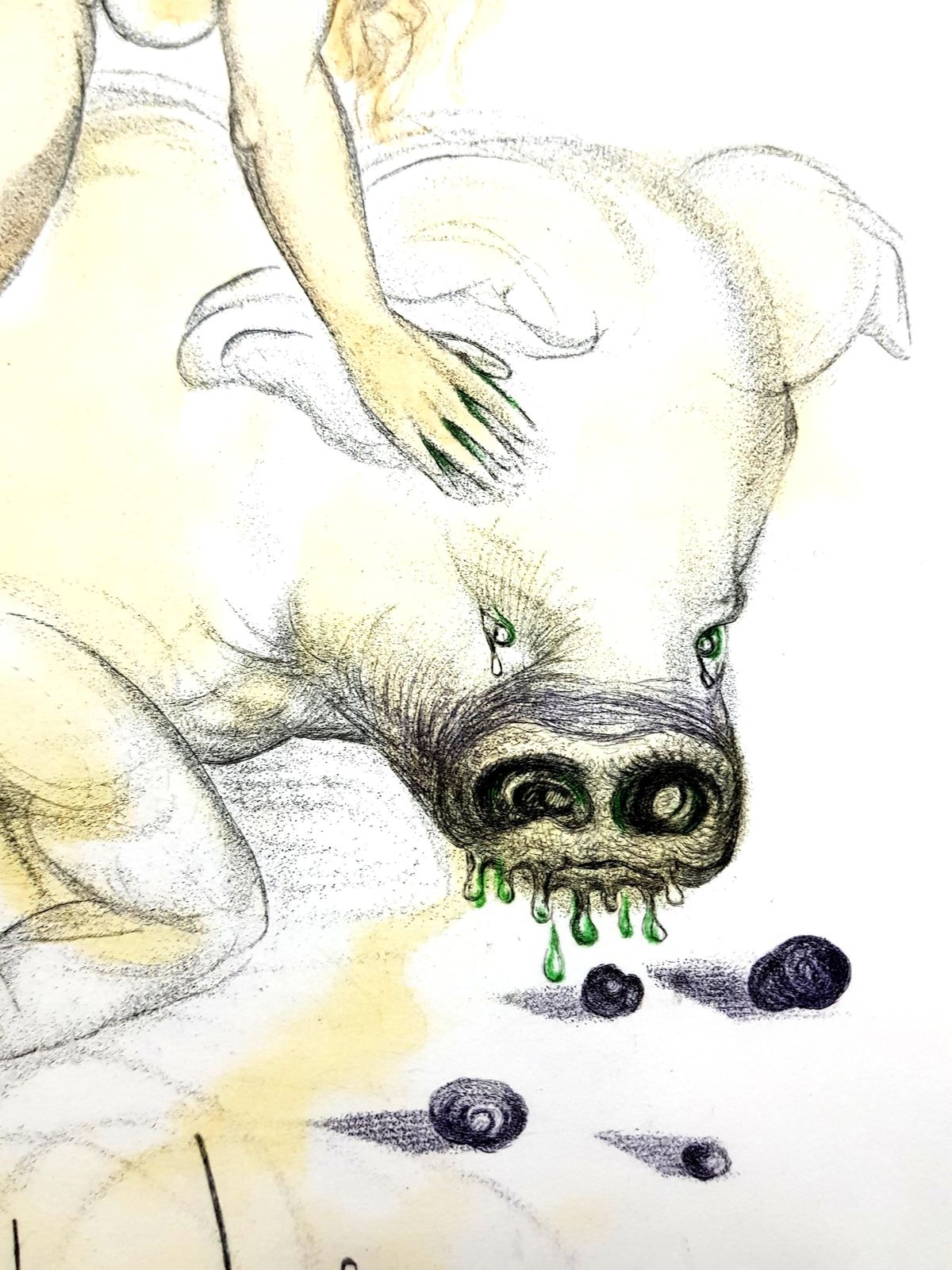 Salvador Dalí­Salvador Dali   Girl And Pig   Original Etching1967 photo 2291.0