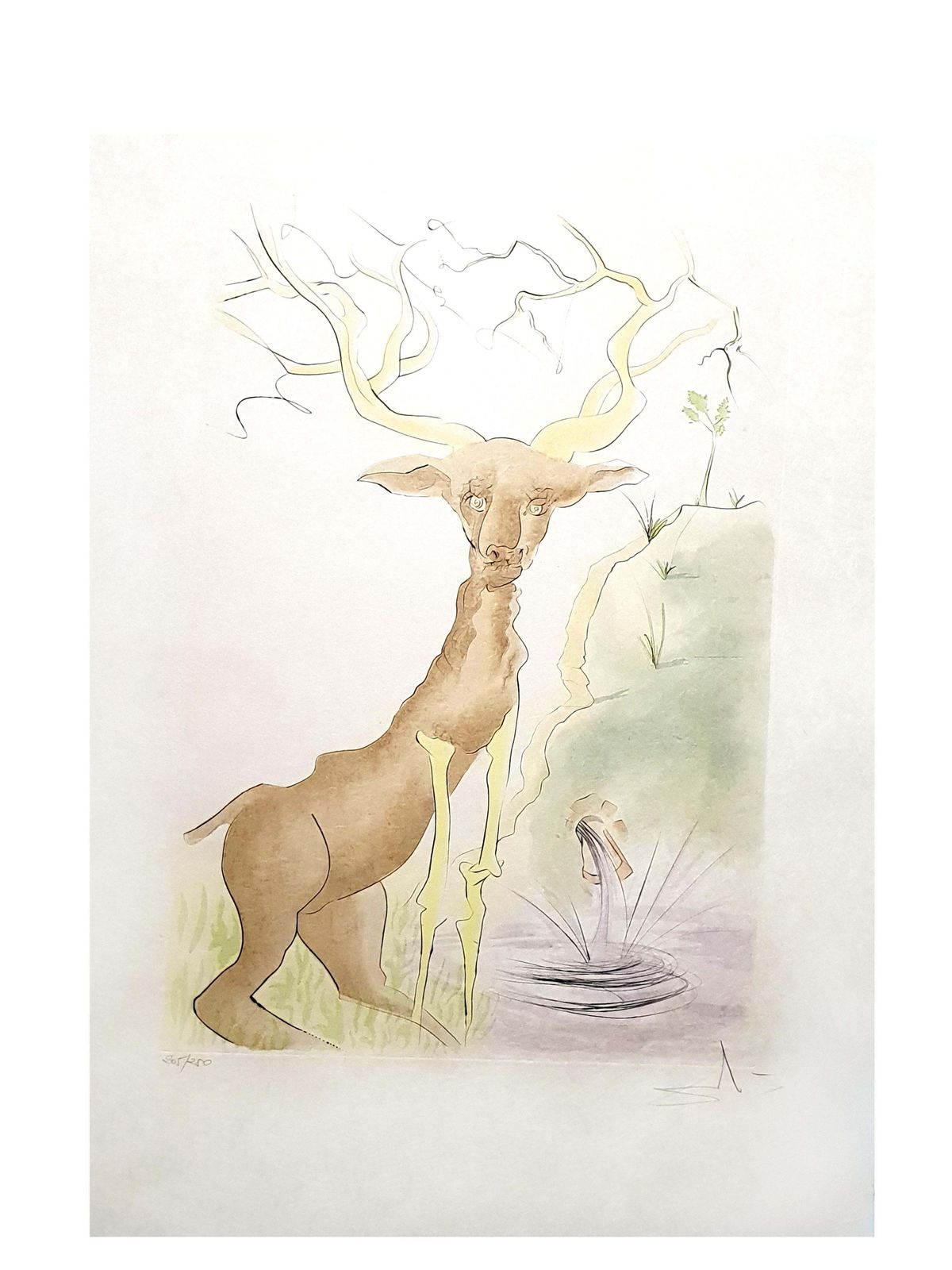 Salvador Dalí­Salvador Dali   Le Cerf From Le Bestiaire De La Fontaine   Signed Engraving1974 photo vintage