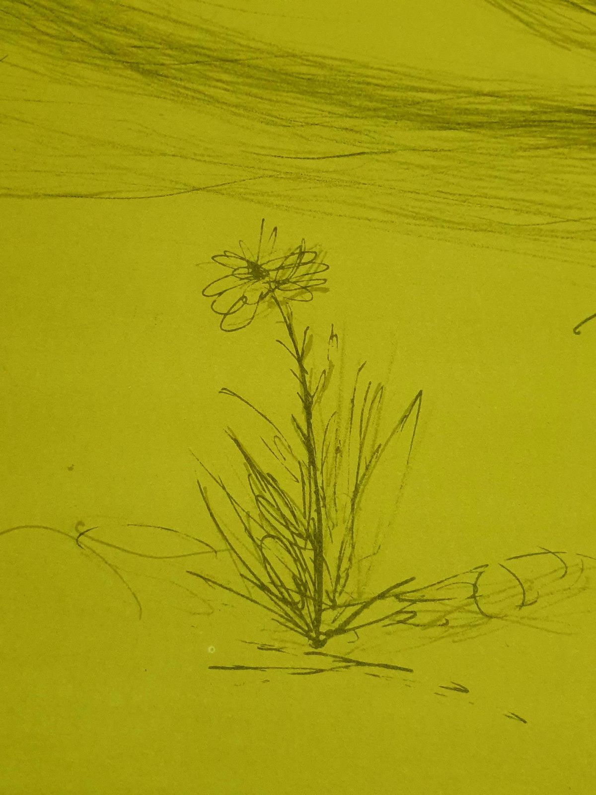 Salvador Dalí­Salvador Dali   Serenade   Lithograph1970 photo vinterior