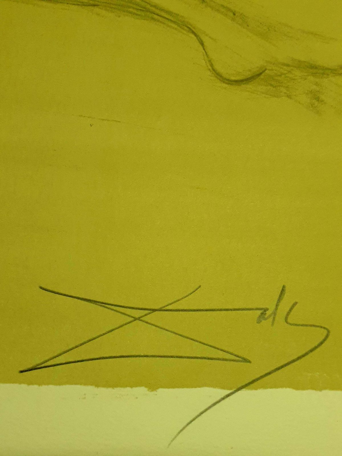 Salvador Dalí­Salvador Dali   At The Beach   Lithograph1970 photo vinterior