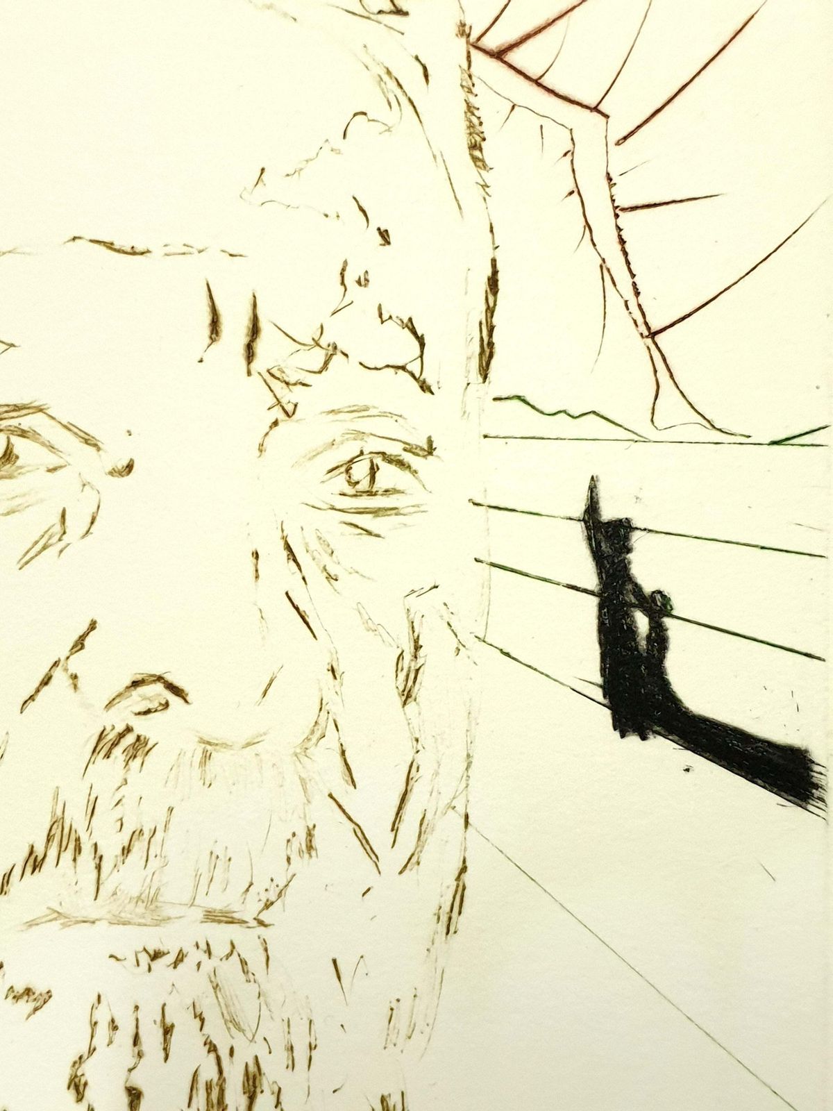 Salvador Dalí­Salvador Dali   Louis Pasteur   Original Handsigned Engraving1970 photo vinterior