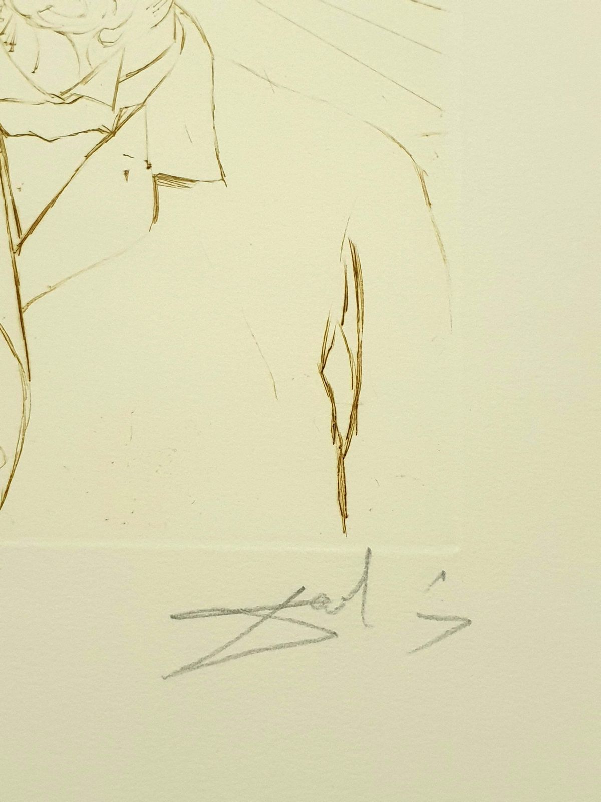 Salvador Dalí­Salvador Dali   Albert Schweitzer   Original Handsigned Engraving1970 photo vinterior
