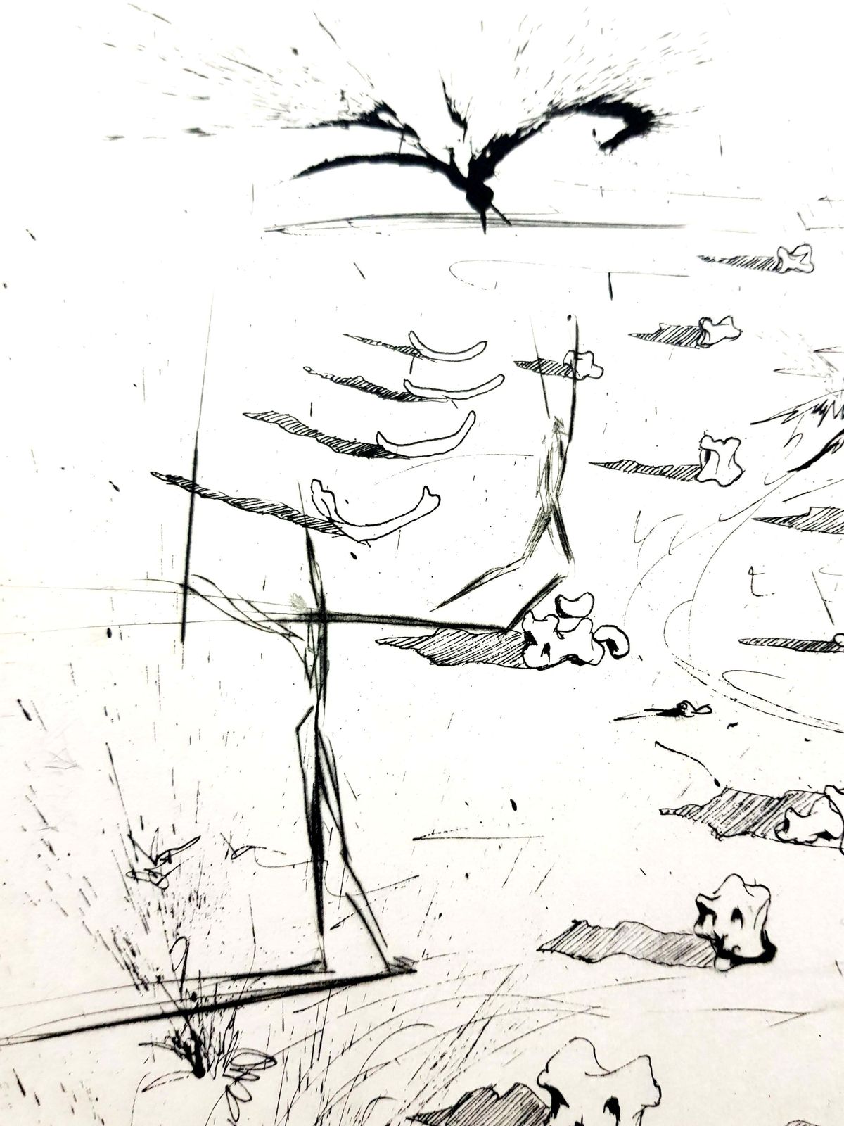 Salvador Dalí­Salvador Dali   The Trenches   Original Etching1967 photo 1674.0