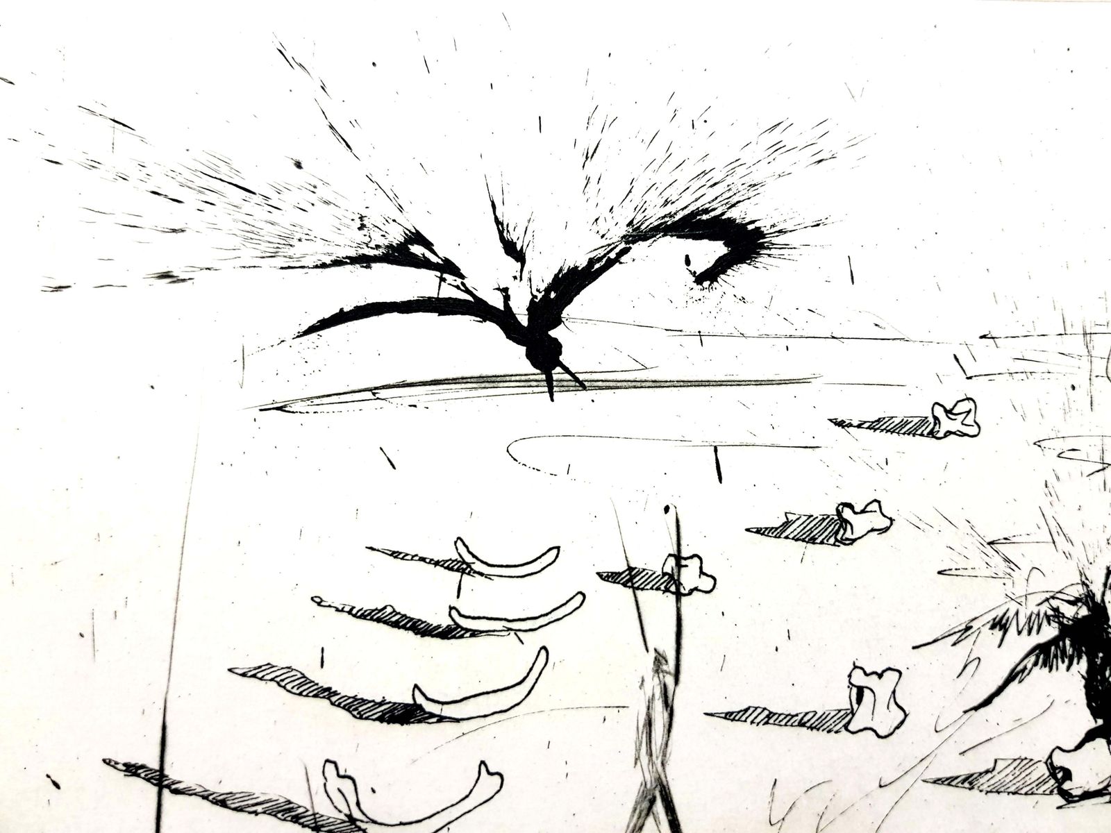 Salvador Dalí­Salvador Dali   The Trenches   Original Etching1967 photo buy