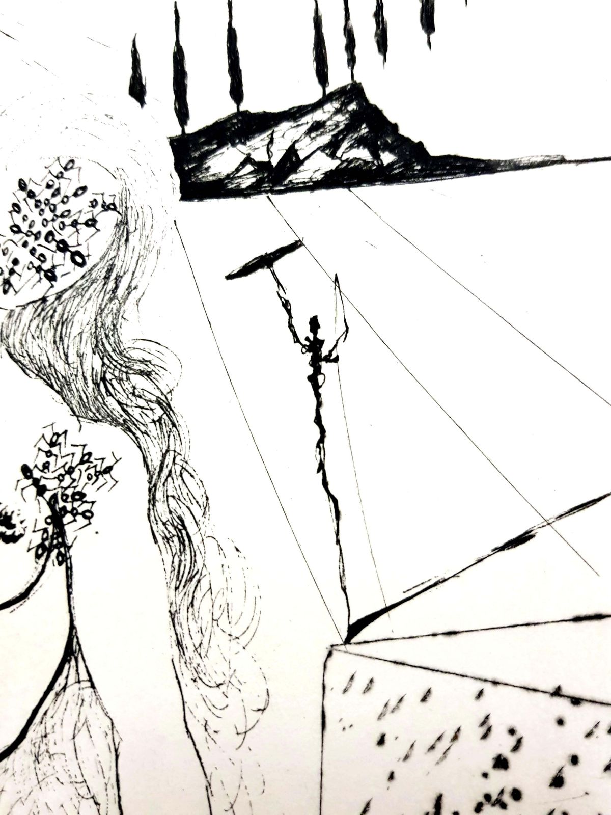 Salvador Dalí­Salvador Dali   Nude At The Fountain1967 photo Art