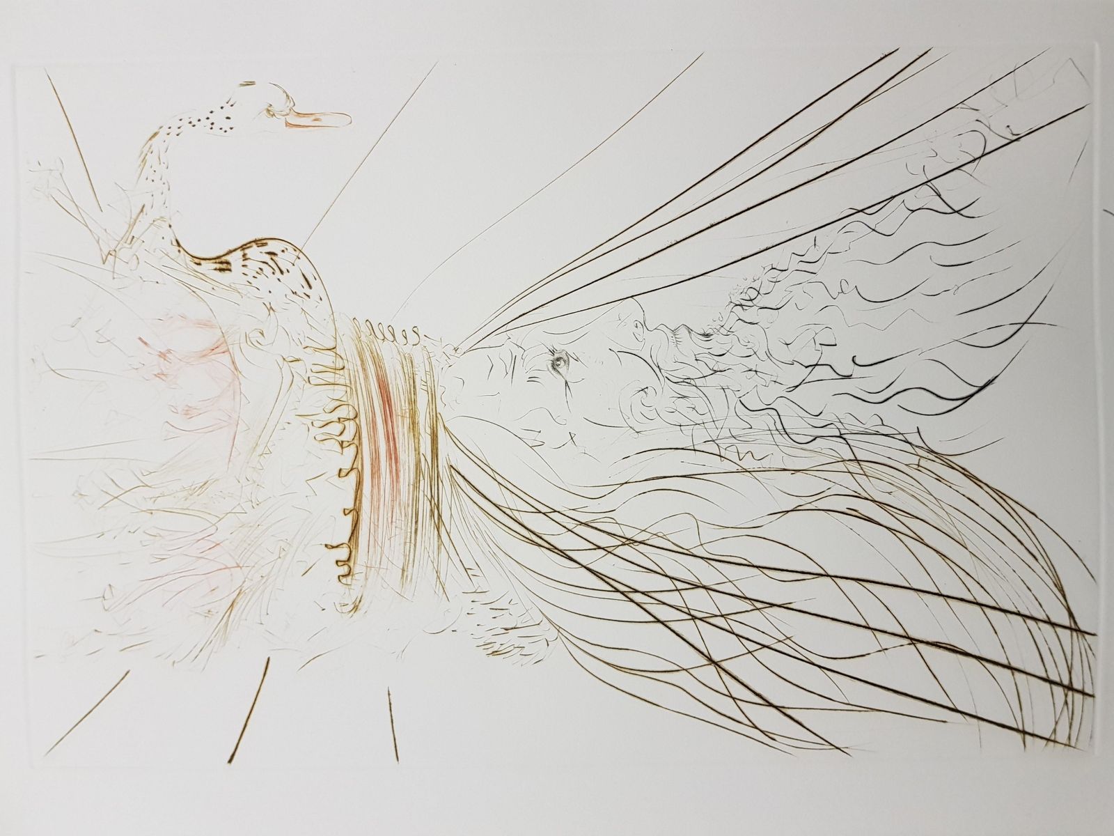Salvador Dalí­Salvador Dali   King Marc1970 photo Art