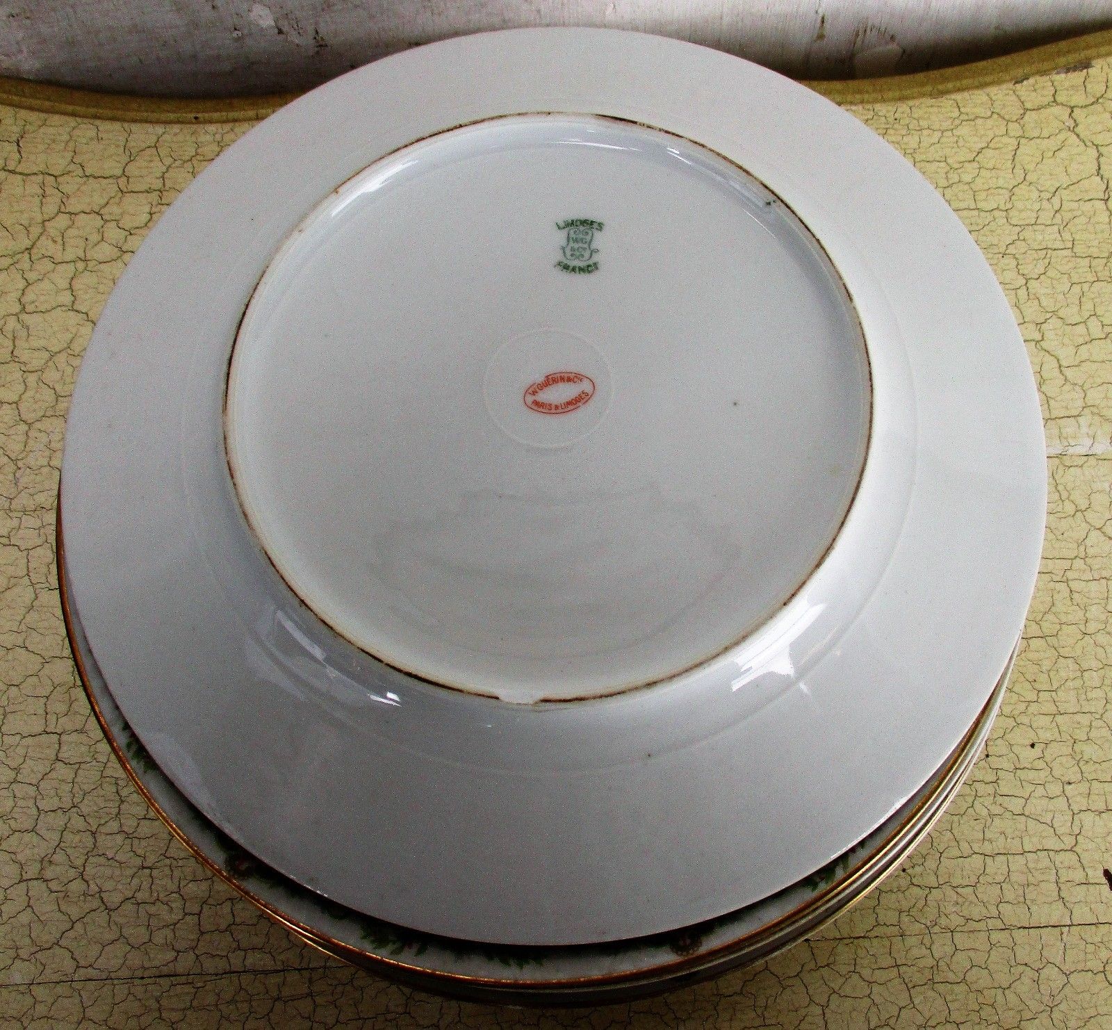 Set Of 6 Limoges Dinner Plates Wg Limoges Guerin French France Gorgeous photo vinterior