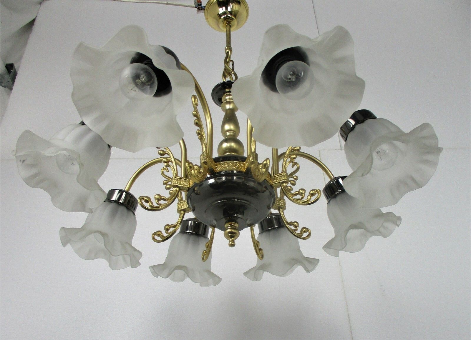 8 Arm Lights Chandelier Revival French Empire Style Brass Tulip Shades Lovely photo vinterior