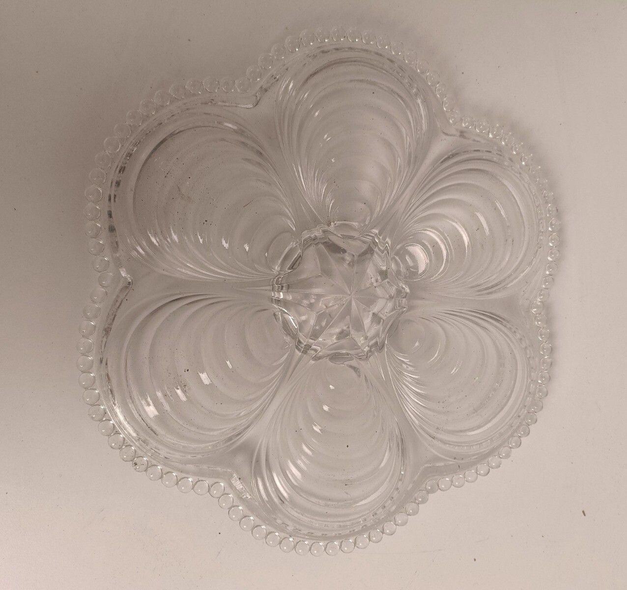 6 Glass Oyster Plate French Vintage Clear Glass Decor Rare Collection Oysters Di photo vintage