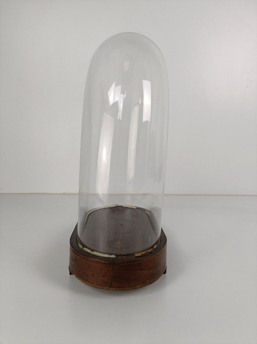 Antique Victorian Oval Hand Blown Glass Globe Dome Doll Clock 15.9"H 12"W6.37" photo Home Decor