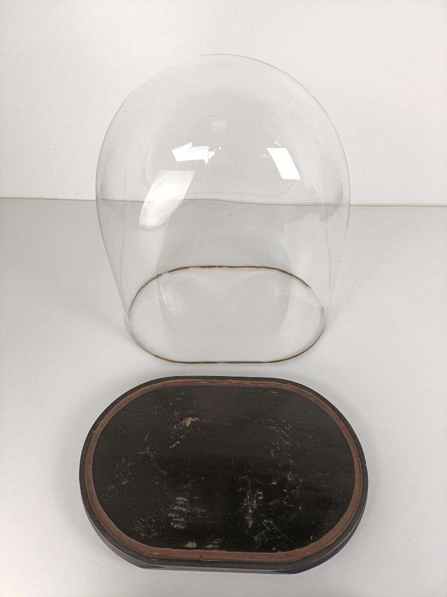 Huge Antique  Victorian Oval Hand Blown Glass Globe Dome Doll Clock 22.04" 18.3" photo vinterior