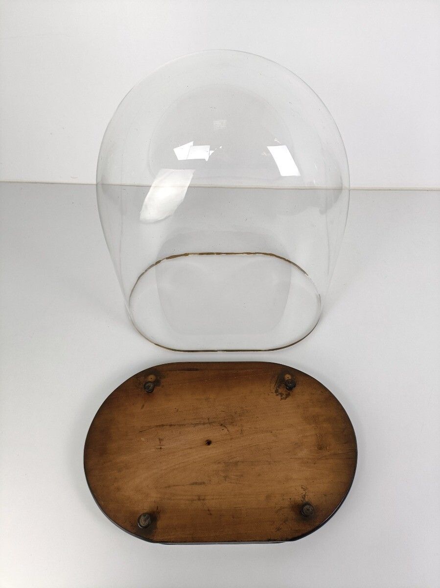 Huge Antique  Victorian Oval Hand Blown Glass Globe Dome Doll Clock 22.04" 18.3" photo buy