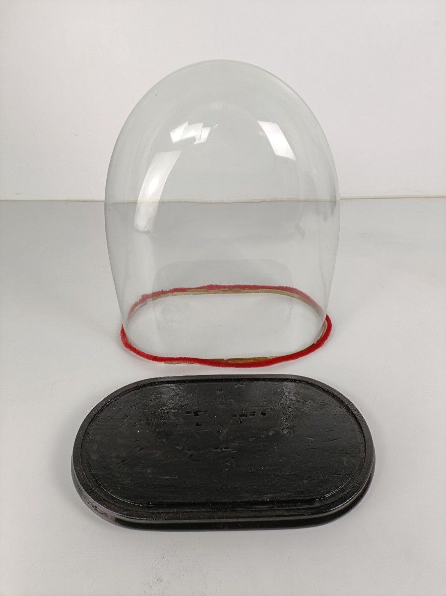 Antique Victorian Oval Hand Blown Glass Globe Dome Doll Clock 18.18"H 15.35"W8.0 photo 809.0