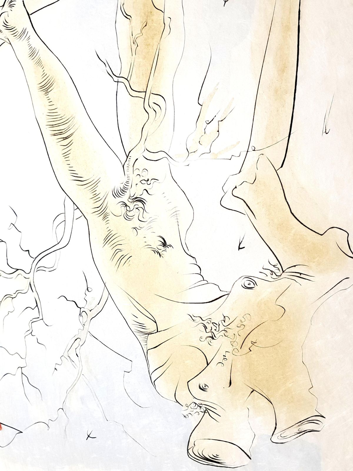 Salvador Dalí­Salvador Dali   The Oak And The Reed   Signed Engraving1974 photo vinterior