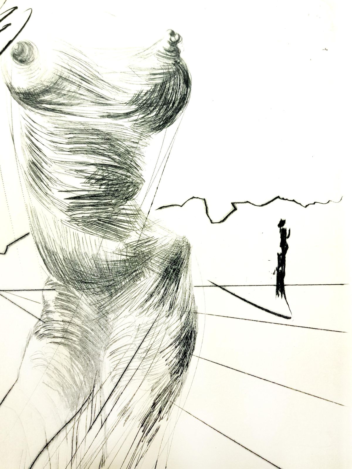 Salvador Dalí­Salvador Dali   Sator From "Faust"1969 photo buy
