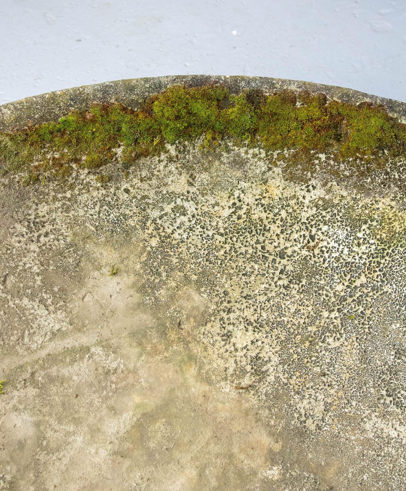 Willy Guhl Eternit Cement Planter Or Basin, 1960s Switzerland photo Garden Decor