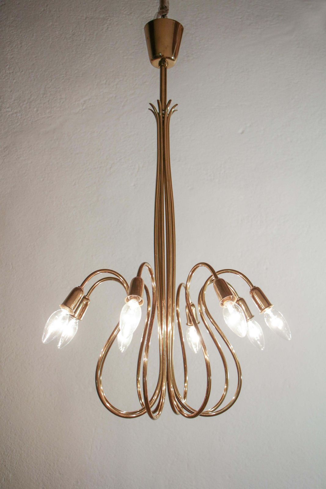 Austrian Mid Century Octopus Chandelier Attributed To J.T. Kalmar, 1950s photo for sale