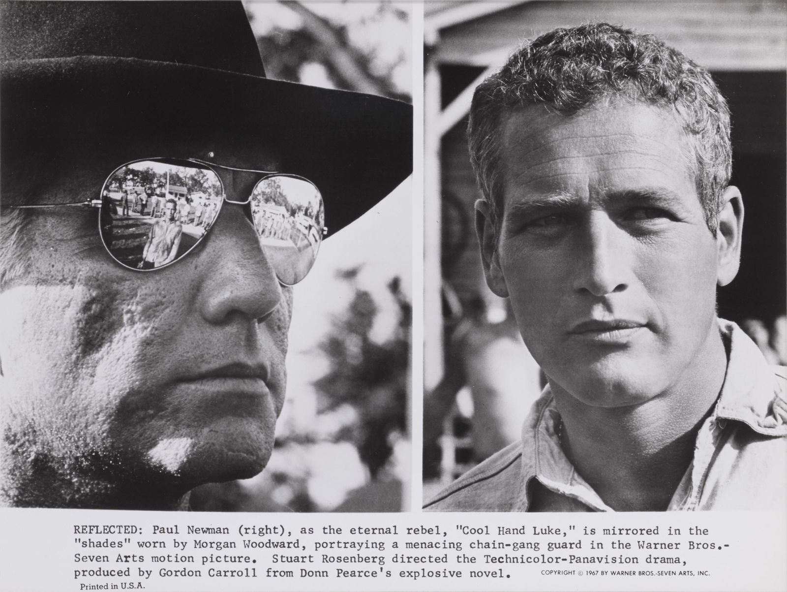 Cool Hand Luke photo furniture