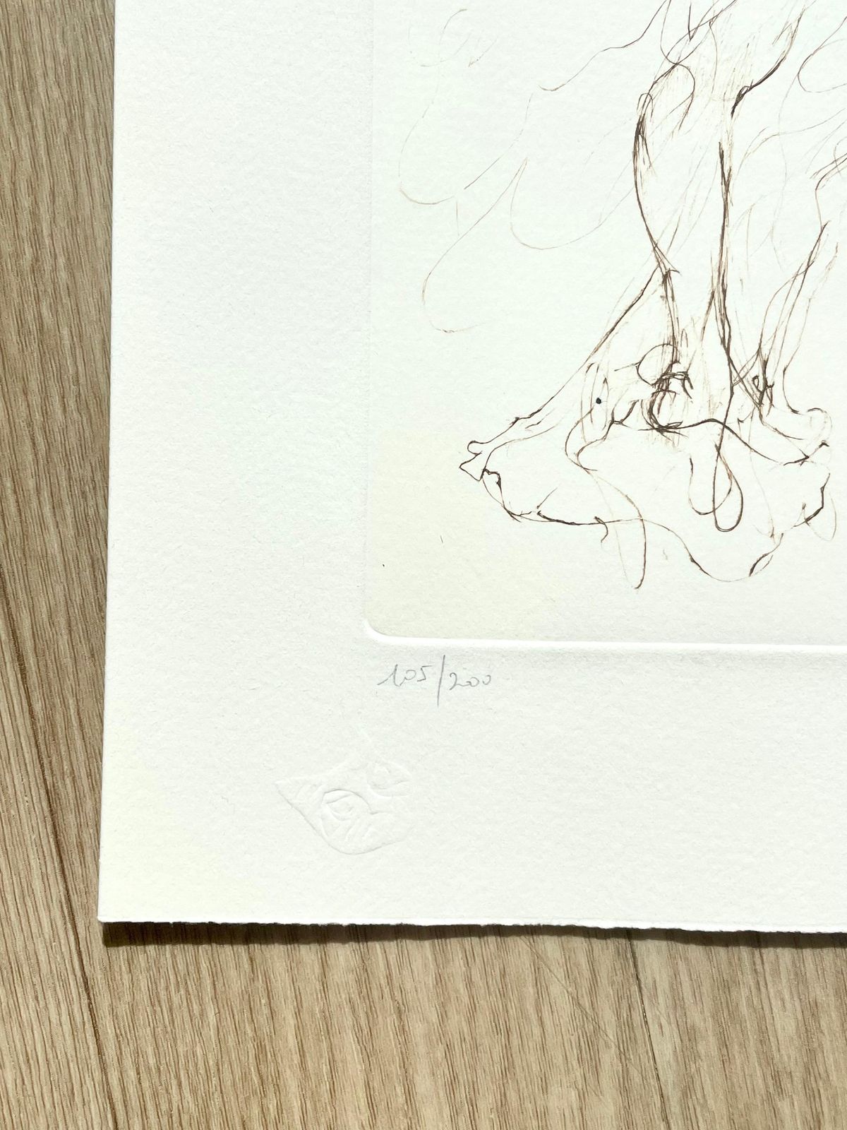 Leonor Finileonor Fini, Rare Lithograph On Arches Paper, Circa 1980circa 1970 photo for sale