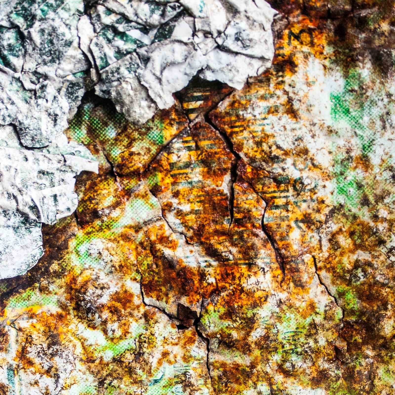Amador Toril's "Can" Photography, Spain, 2020. photo 2637.0