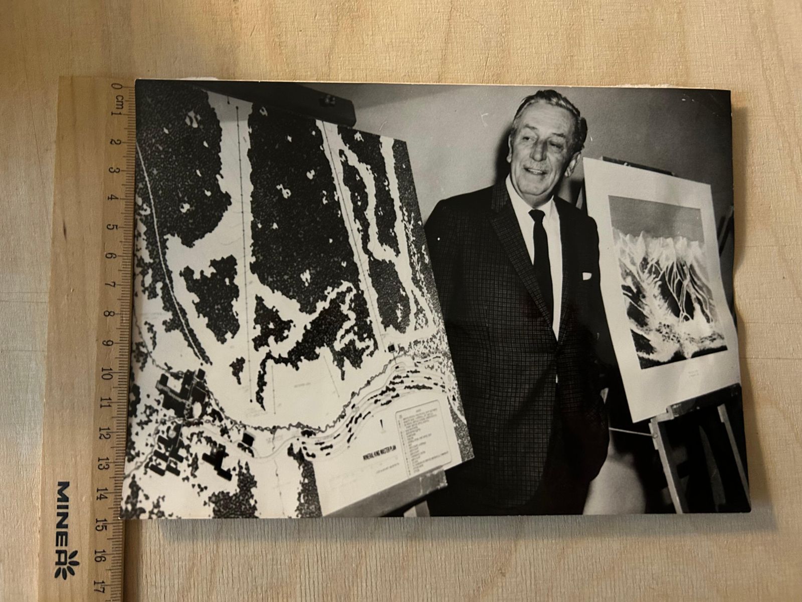 photo furniture Peter Bischoffwalter "Walt" Disney    Convolute Of 7 Original Press Photos1950s