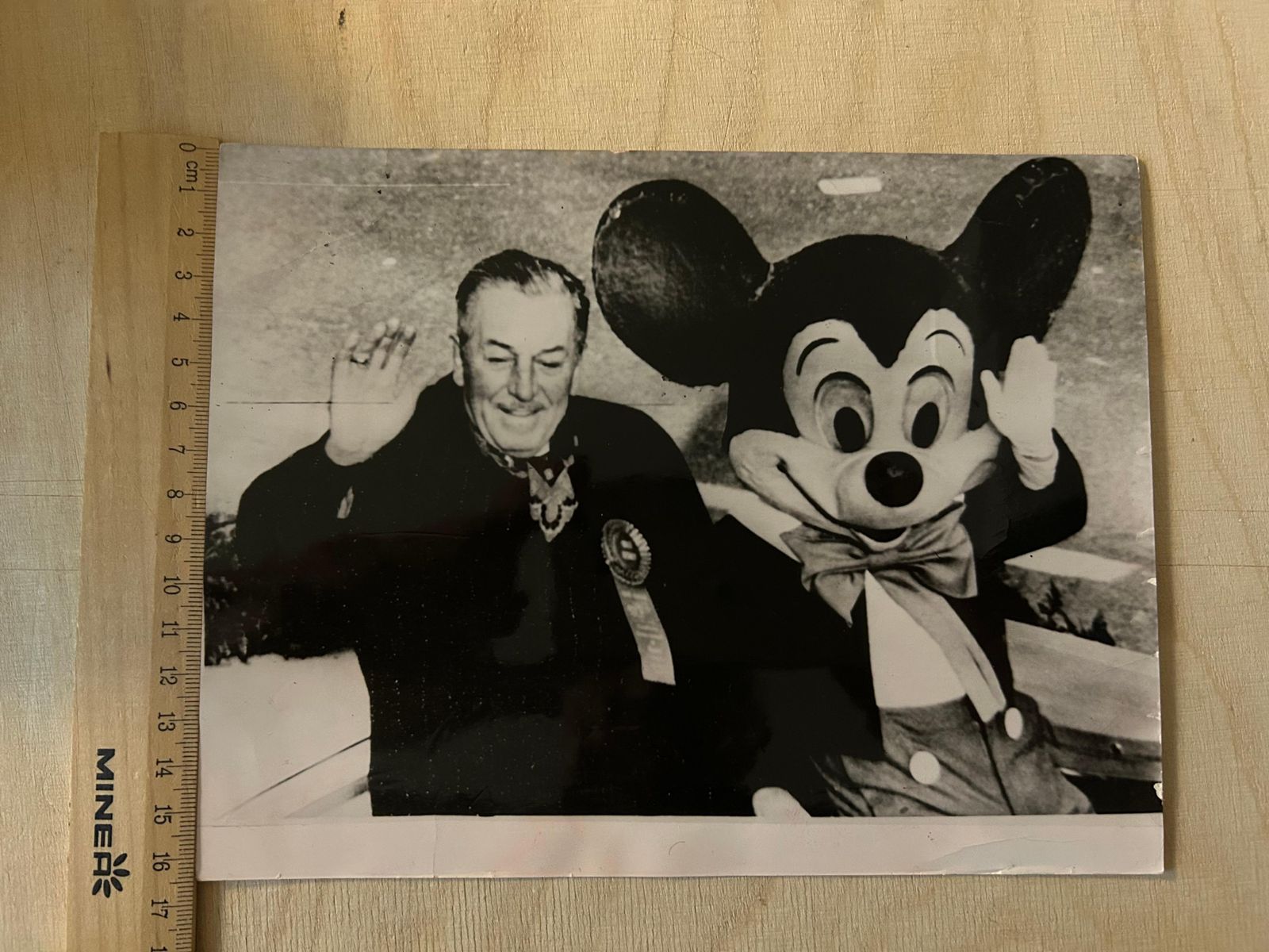 photo vinterior Peter Bischoffwalter "Walt" Disney    Convolute Of 7 Original Press Photos1950s