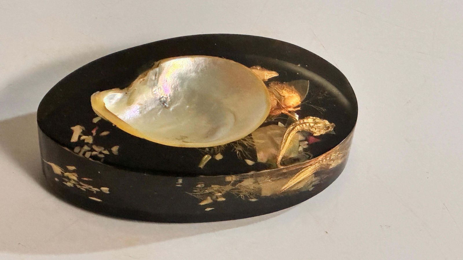 Ashtray In Black Resin With Shell In Natural And Black Color France 1970 photo buy