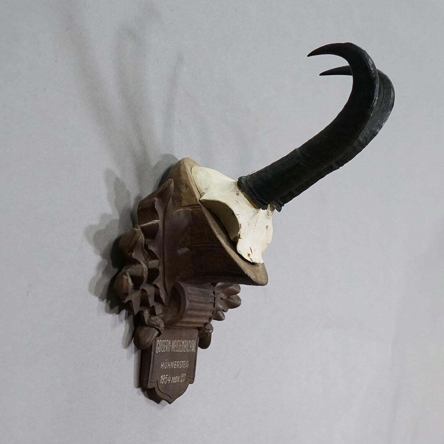 Large Chamois Trophy On Carved Plaque, Austria 1954 photo furniture