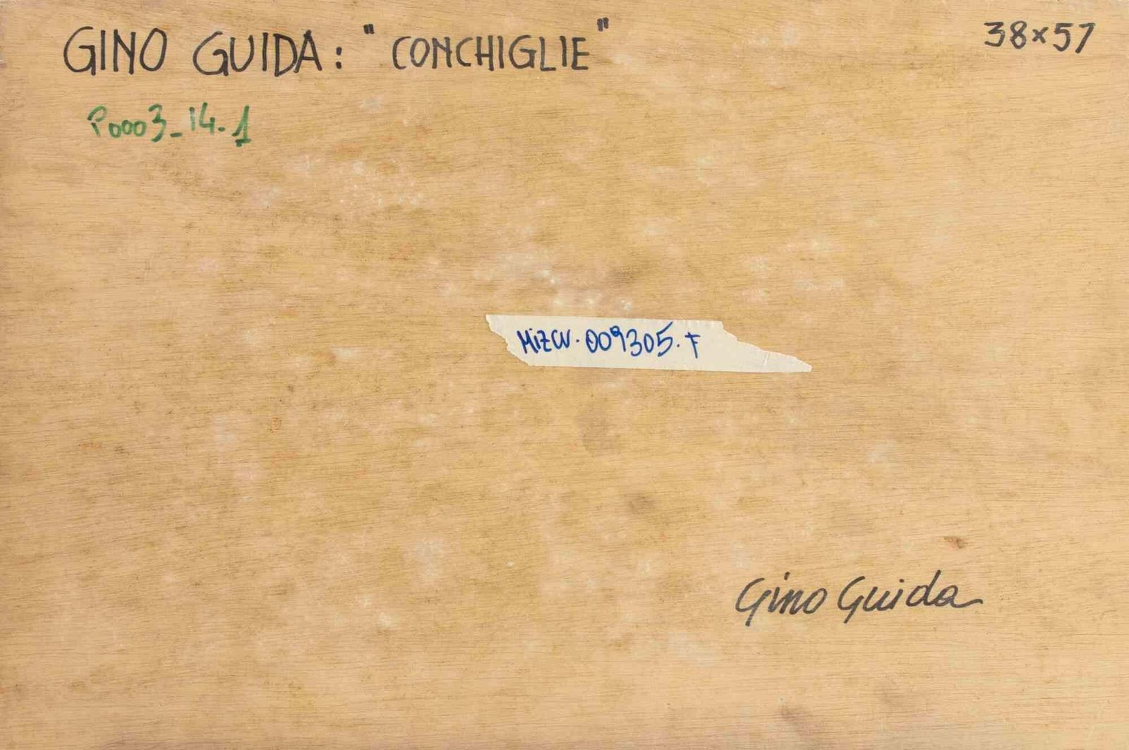 Gino Guidashells   Paint By Gino Guida   1980s1980s photo Art