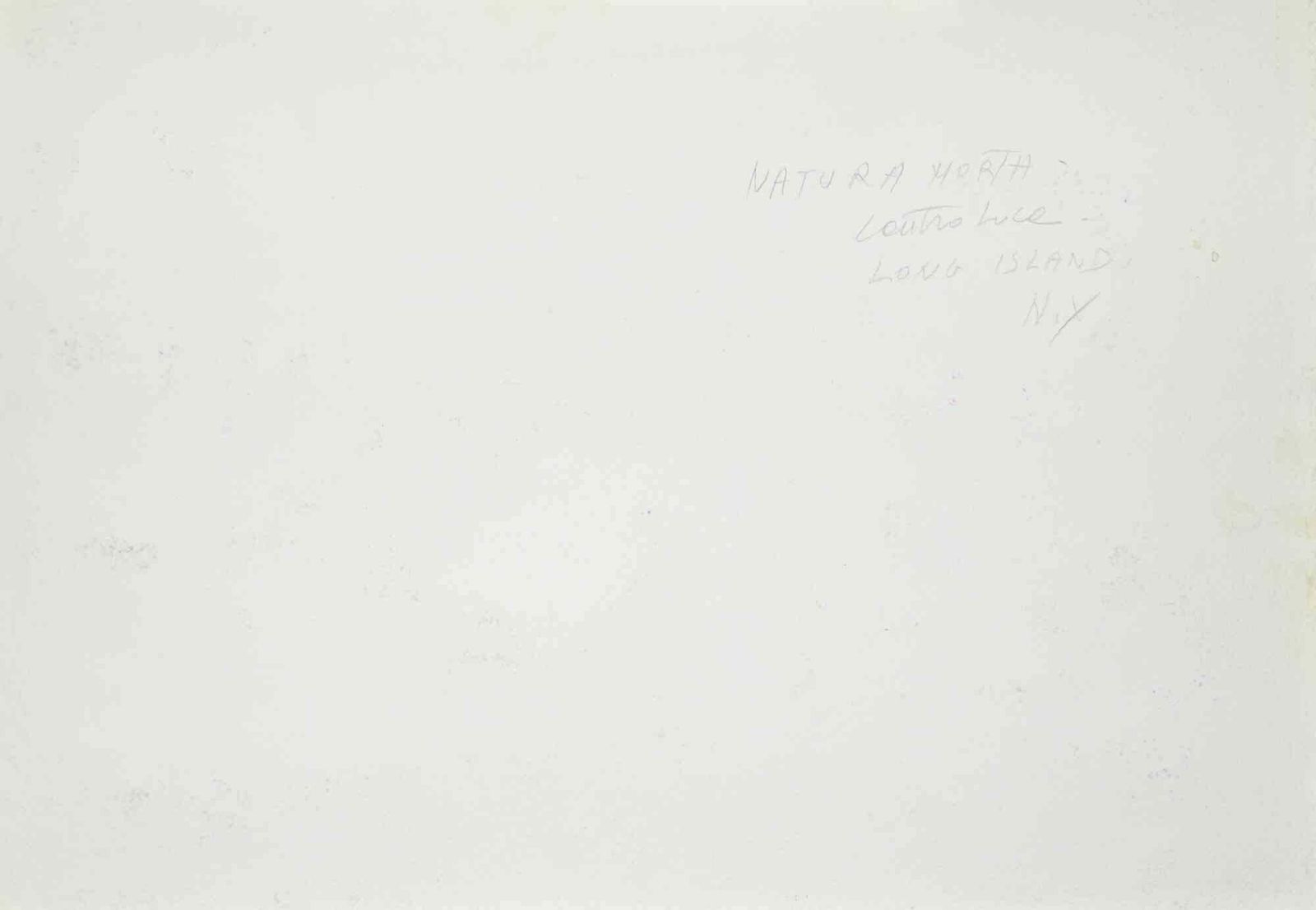 Carlo Ravagnanstill Life In Long Island   New York   Drawing By Carlo Ravagnan   19781978 photo furniture