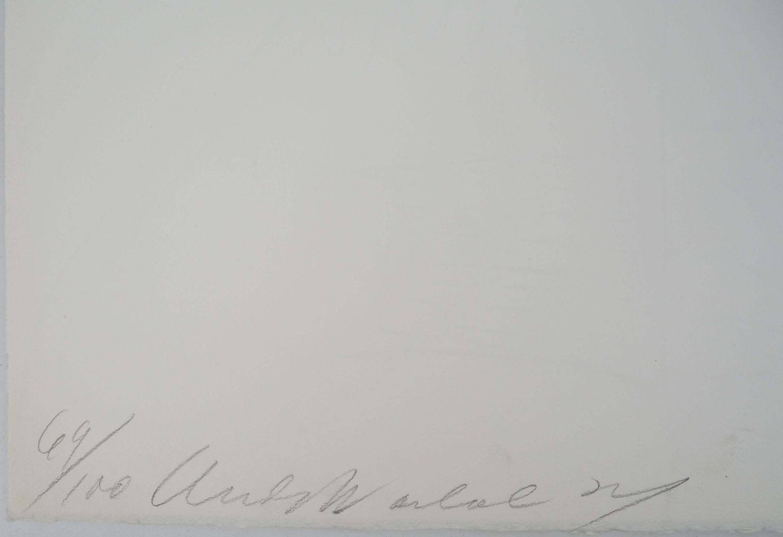 Andy Warholflowers   Original Screen Print   Handsigned And /100 (Schellman II.101)1986 photo furniture