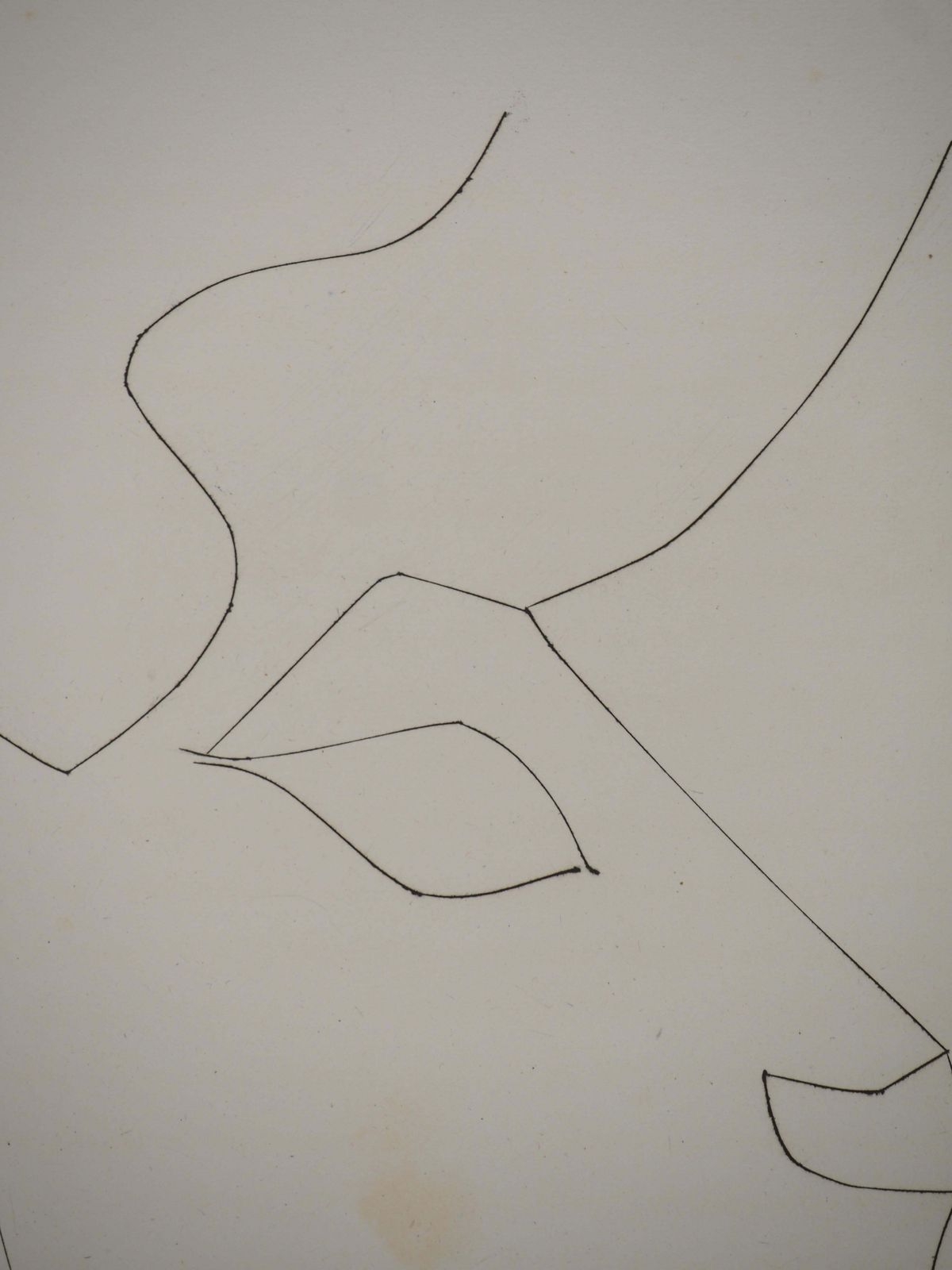 Pablo Picassocarmen, Portrait Of A Bull   Original Etching (Cramer #52)1949 photo buy
